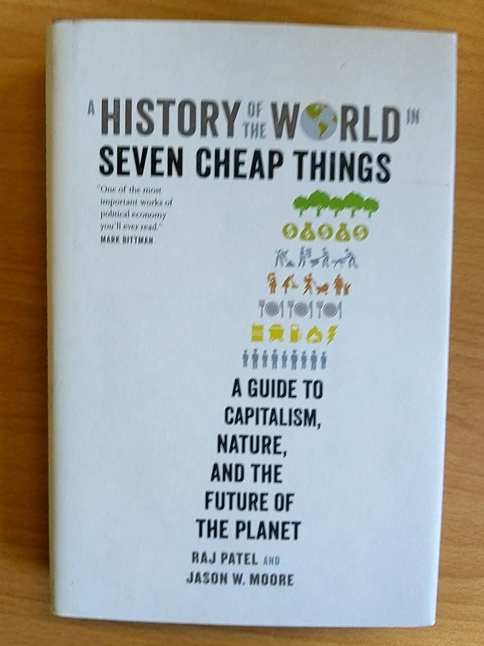 Kniha A history of the World in seven cheap things Raj Patel, Jason W. Moore