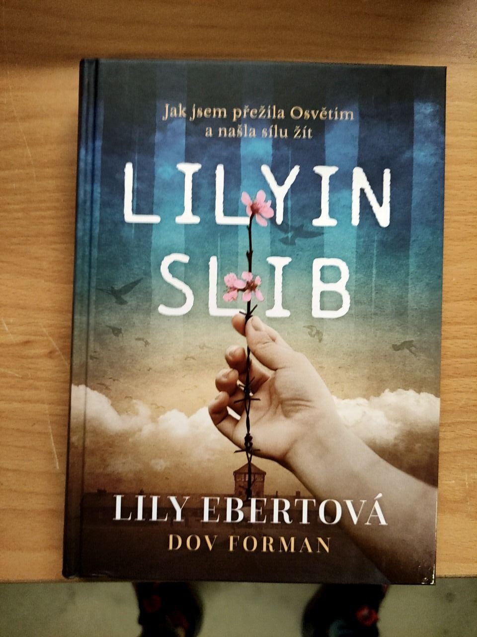 Lilyin slib - román o přežití v Osvětimi Lily Ebertová