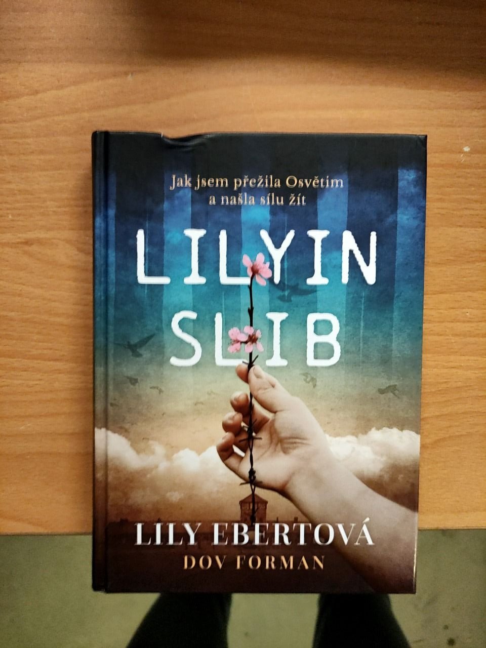 Lilyin slib - román o přežití v Osvětimi Lily Ebertová