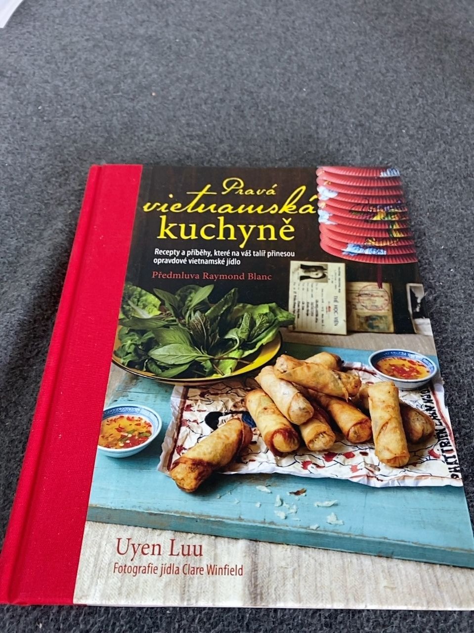 Pravá vietnamská kuchyně - Uyen Luu