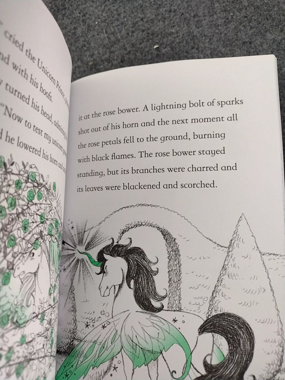 kniha Fairy Ponies Unicorn Prince by Zanna Davidson  