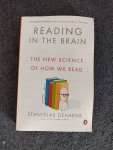 kniha Reading in the brain