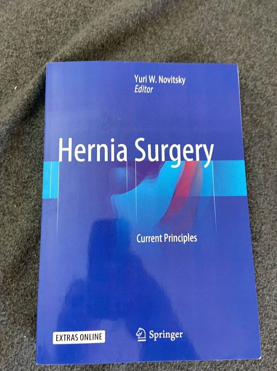 kniha Hernia Surgery Autor Yuri W. Novitsky