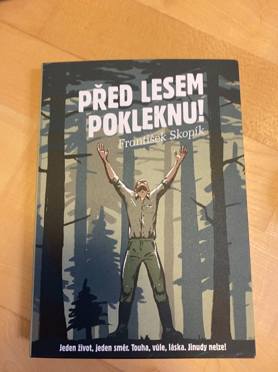 Kniha "Před Lesem poklekni" František Skopník 