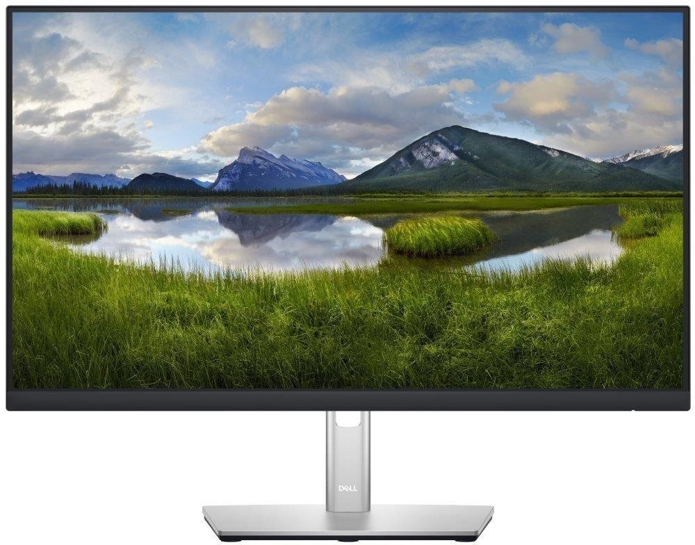 LCD monitor Dell P2422H Professional